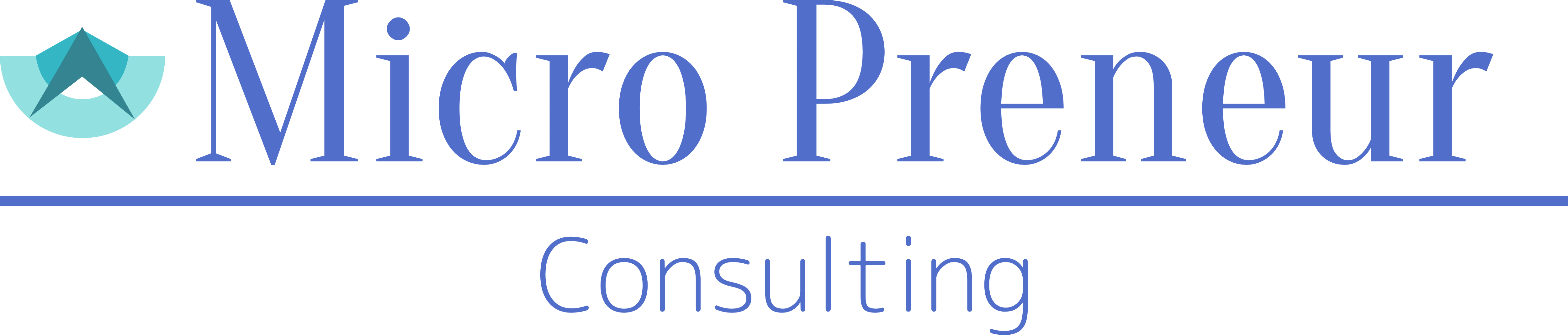 Micro Preneur Consulting